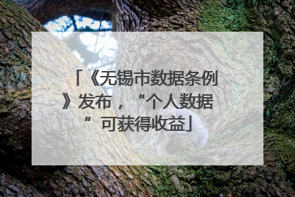 《无锡市数据条例》发布，“个人数据”可获得收益