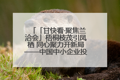 「甘快看·聚焦兰洽会」梧桐枝茂引凤栖 同心聚力开新局——中国中小企业投资洽谈会侧记