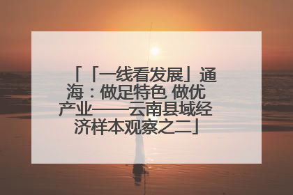 「一线看发展」通海：做足特色 做优产业——云南县域经济样本观察之二