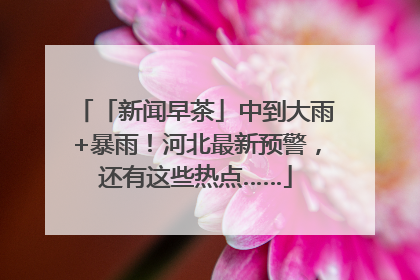 「新闻早茶」中到大雨+暴雨！河北最新预警，还有这些热点……