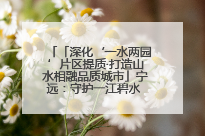 「深化‘一水两园’片区提质·打造山水相融品质城市」宁远：守护一江碧水 共享幸福河湖