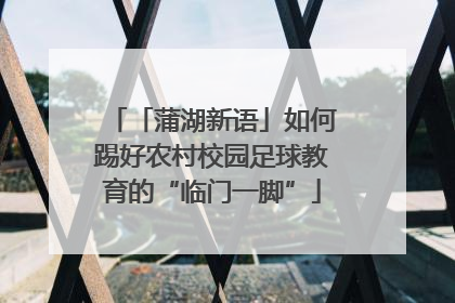 「蒲湖新语」如何踢好农村校园足球教育的“临门一脚”
