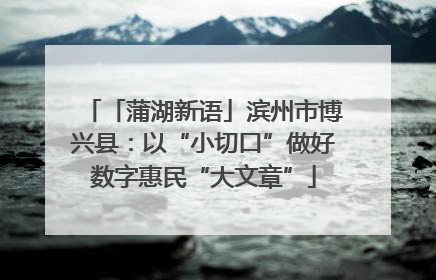 「蒲湖新语」滨州市博兴县：以“小切口”做好数字惠民“大文章”