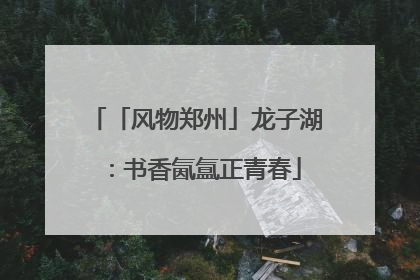 「风物郑州」龙子湖：书香氤氲正青春