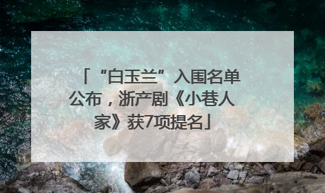 “白玉兰”入围名单公布，浙产剧《小巷人家》获7项提名
