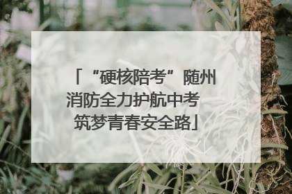 “硬核陪考”随州消防全力护航中考 筑梦青春安全路