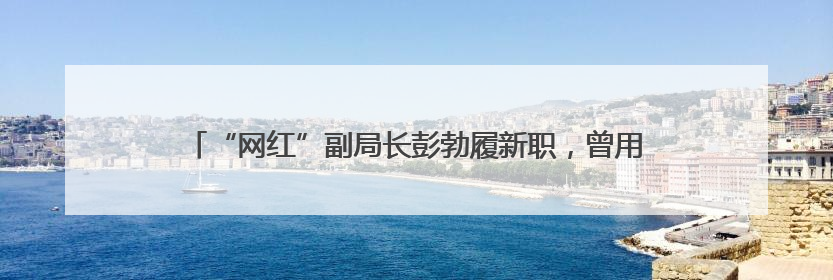 “网红”副局长彭勃履新职，曾用“英语+东北话”推介当地大米