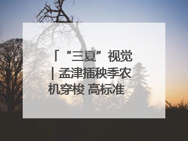 “三夏”视觉｜孟津插秧季农机穿梭 高标准农田披绿装
