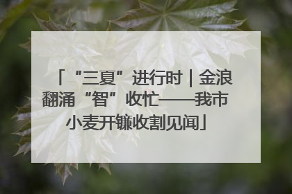 “三夏”进行时｜金浪翻涌“智”收忙——我市小麦开镰收割见闻