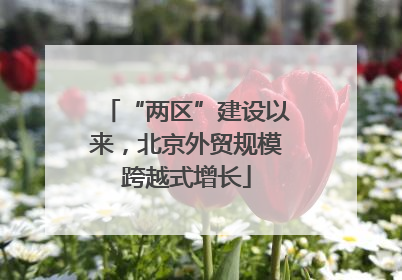 “两区”建设以来，北京外贸规模跨越式增长