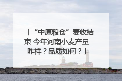 “中原粮仓”麦收结束 今年河南小麦产量咋样？品质如何？