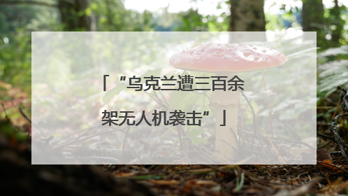 “乌克兰遭三百余架无人机袭击”