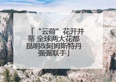 “云荷”花开并蒂 全球两大花都昆明&阿姆斯特丹强强联手