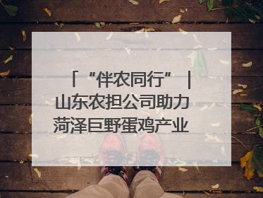 “伴农同行”｜山东农担公司助力菏泽巨野蛋鸡产业高质量发展