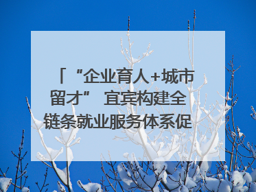 “企业育人+城市留才” 宜宾构建全链条就业服务体系促高校毕业生就业｜您牵挂的四川