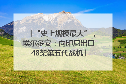 “史上规模最大”，埃尔多安：向印尼出口48架第五代战机