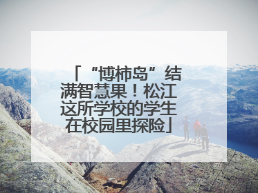 “博柿岛”结满智慧果！松江这所学校的学生在校园里探险