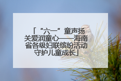“六一”童声扬 关爱润童心——海南省各级妇联缤纷活动守护儿童成长