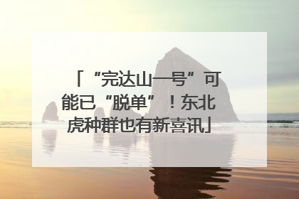 “完达山一号”可能已“脱单”！东北虎种群也有新喜讯