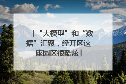 “大模型”和“数据”汇聚，经开区这座园区很酷炫