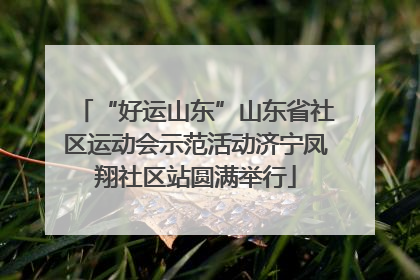 “好运山东”山东省社区运动会示范活动济宁凤翔社区站圆满举行