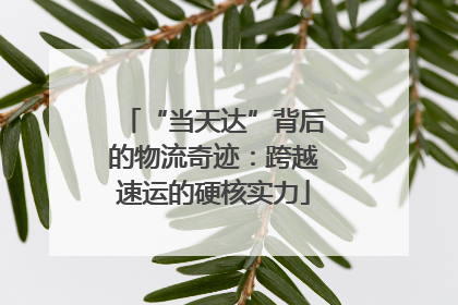 “当天达”背后的物流奇迹：跨越速运的硬核实力