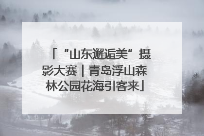 “山东邂逅美”摄影大赛｜青岛浮山森林公园花海引客来