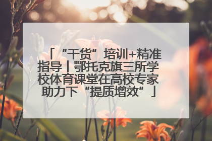 “干货”培训+精准指导丨鄂托克旗三所学校体育课堂在高校专家助力下“提质增效”