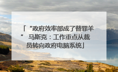 “政府效率部成了替罪羊” 马斯克：工作重点从裁员转向政府电脑系统