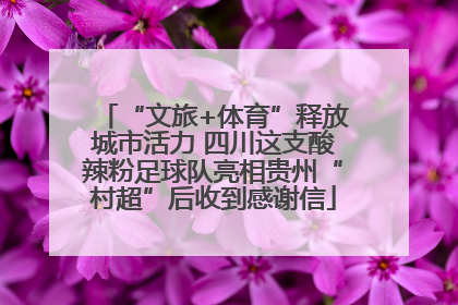 “文旅+体育”释放城市活力 四川这支酸辣粉足球队亮相贵州“村超”后收到感谢信