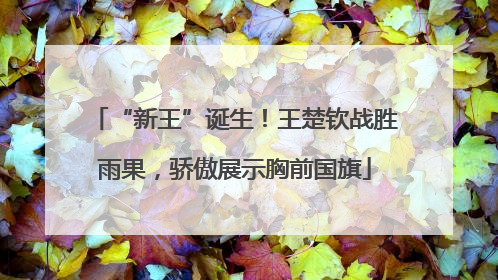 “新王”诞生！王楚钦战胜雨果，骄傲展示胸前国旗