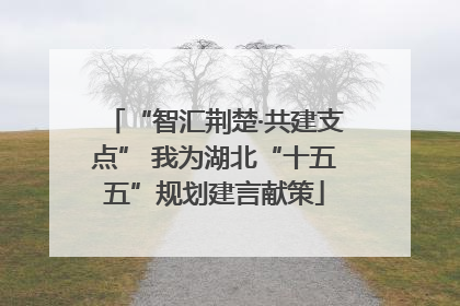 “智汇荆楚·共建支点” 我为湖北“十五五”规划建言献策