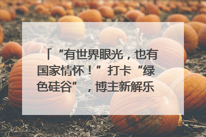 “有世界眼光，也有国家情怀！”打卡“绿色硅谷”，博主新解乐山｜网络名人四川行