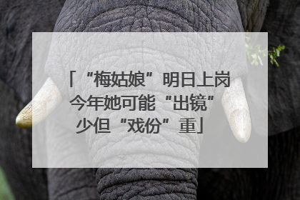 “梅姑娘”明日上岗 今年她可能“出镜”少但“戏份”重