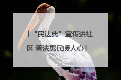 “民法典”宣传进社区 普法惠民暖人心