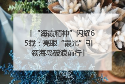 “海霞精神”闪耀65载：亮眼“霞光”引领海岛破浪前行
