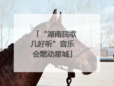 “湖南民歌几好听”音乐会燃动星城
