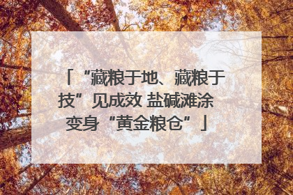 “藏粮于地、藏粮于技”见成效 盐碱滩涂变身“黄金粮仓”
