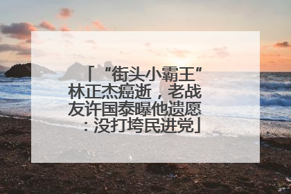 “街头小霸王”林正杰癌逝，老战友许国泰曝他遗愿：没打垮民进党