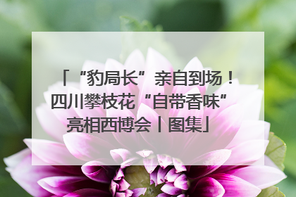 “豹局长”亲自到场！四川攀枝花“自带香味”亮相西博会丨图集