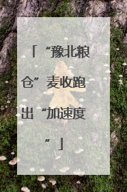 “豫北粮仓”麦收跑出“加速度”