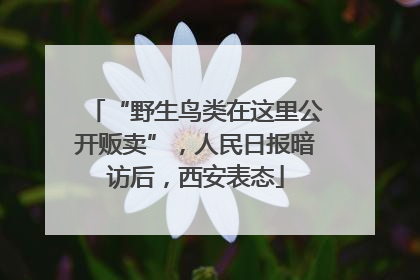 “野生鸟类在这里公开贩卖”，人民日报暗访后，西安表态