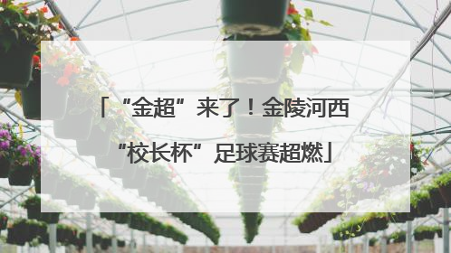 “金超”来了！金陵河西“校长杯”足球赛超燃