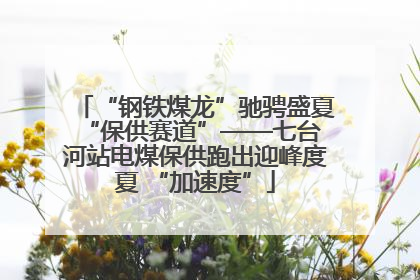 “钢铁煤龙”驰骋盛夏 “保供赛道”——七台河站电煤保供跑出迎峰度夏 “加速度”