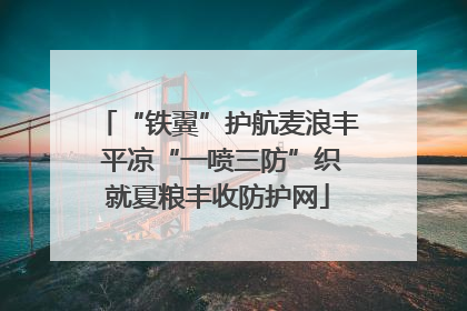 “铁翼”护航麦浪丰 平凉“一喷三防”织就夏粮丰收防护网