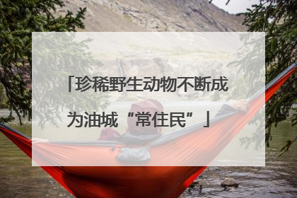 珍稀野生动物不断成为油城“常住民”