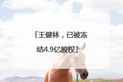 王健林，已被冻结4.9亿股权