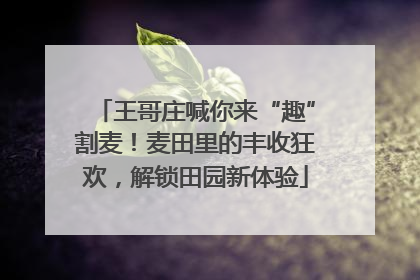 王哥庄喊你来“趣”割麦！麦田里的丰收狂欢，解锁田园新体验