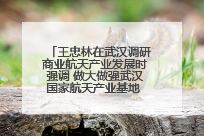 王忠林在武汉调研商业航天产业发展时强调 做大做强武汉国家航天产业基地 打造具有全国影响力的“中国星谷”