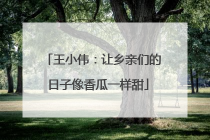 王小伟：让乡亲们的日子像香瓜一样甜